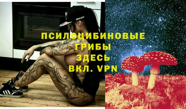метамфетамин Верея